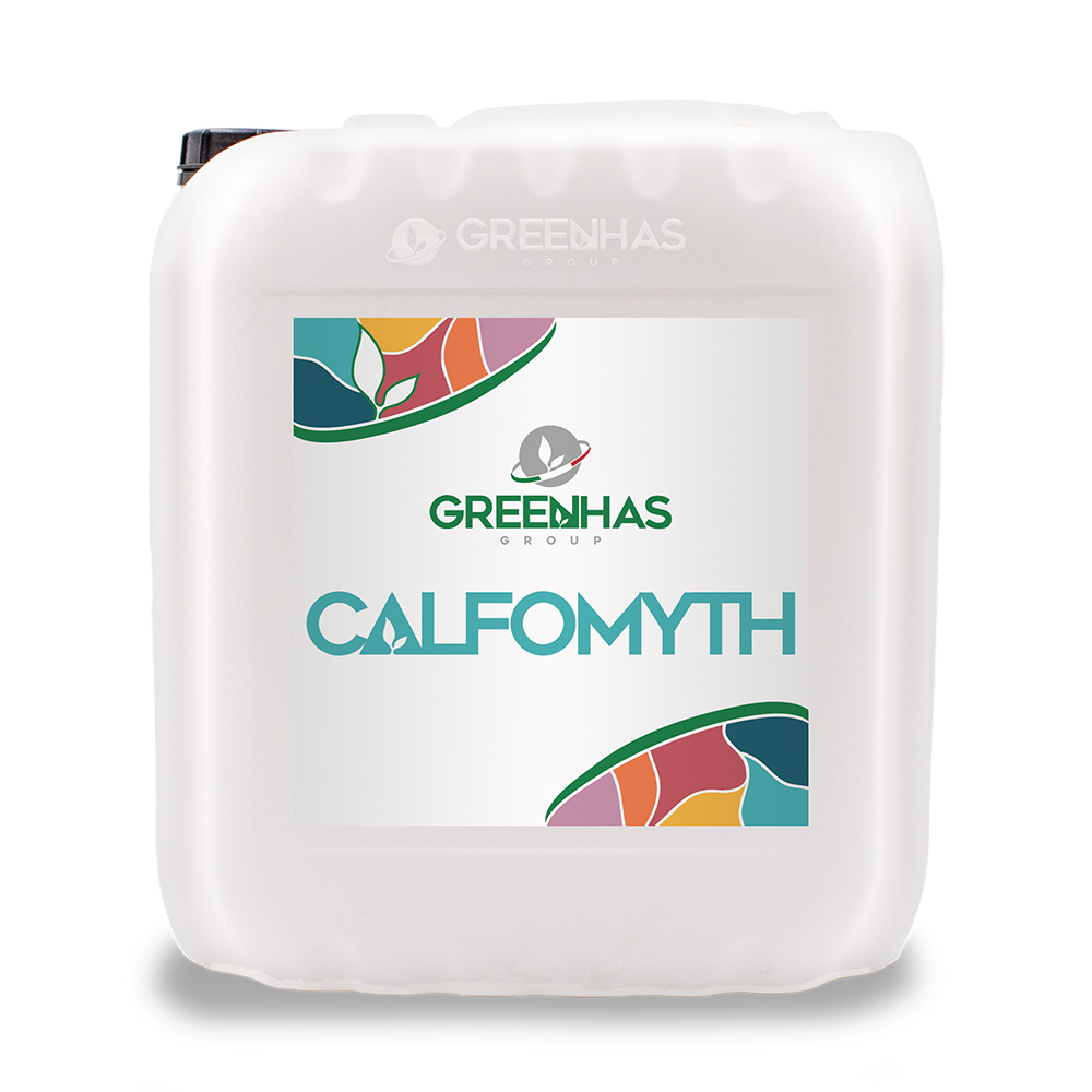 Calfomyth
